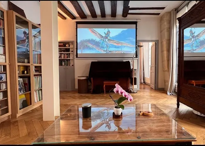 Beautiful Flat Seine River-saint Michel/notre-dame 公寓