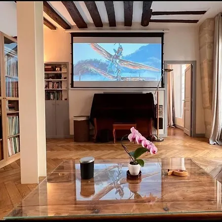 Beautiful Flat Seine River-saint Michel/notre-dame Appartement